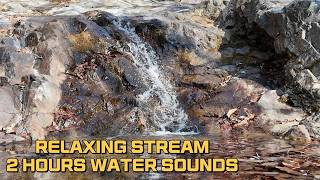 Gentle Trickling Stream Sounds │ 2 Hours │ Relaxation │ Sleep │ White Noise │ ASMR