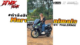 #เพลงแดนซ์กำลังฮิตในTikTok (Maroon 5 - Animals) V.แดนซ์มันๆ - 𝘿𝙅 𝙈𝘾𝙆 𝙍𝙀𝙈𝙄𝙓