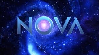 PBS Nova S35E12 Ape Genius