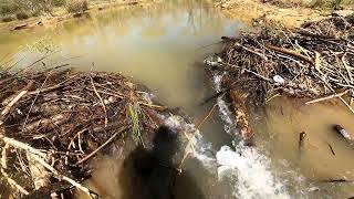 Quickly releasing a small wall of water 79  Highway beaverdam. Just quick look at all the water