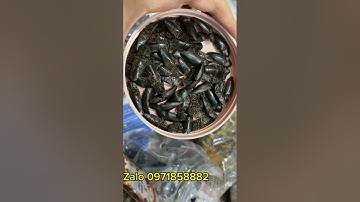 con bổ củi giá bao nhiêu 1 xét 50 con ?