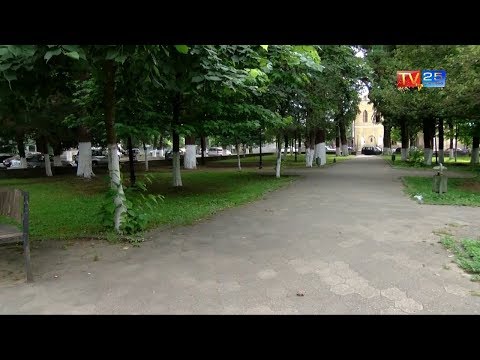 გურიის რეგიონში აზიური ფაროსანას წინააღმდეგ წამლობის პირველი ეტაპი დასრულდა