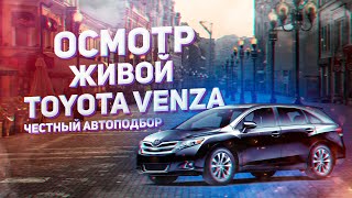 :   TOYOTA VENZA