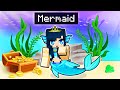 Life of a Minecraft Mermaid!