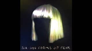 Elastic Heart - Sia HQ