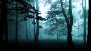 Watch Steven Wilson A Forest video