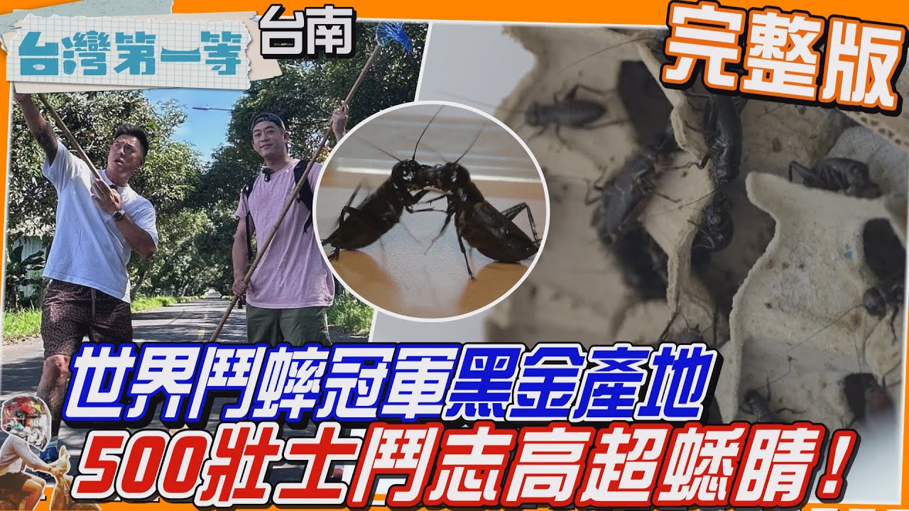 [全新] 台南【全台唯一最