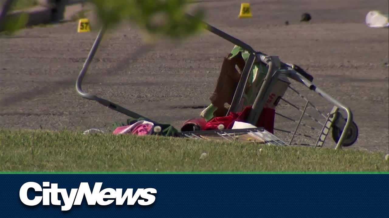 Calgary man charged in fatal hit-and-run - YouTube