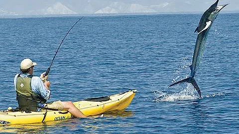 300 Pound Marlin Tows Kayak 11 MILES