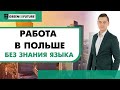 Работа в Польше без знания языка: виды и размер оплаты