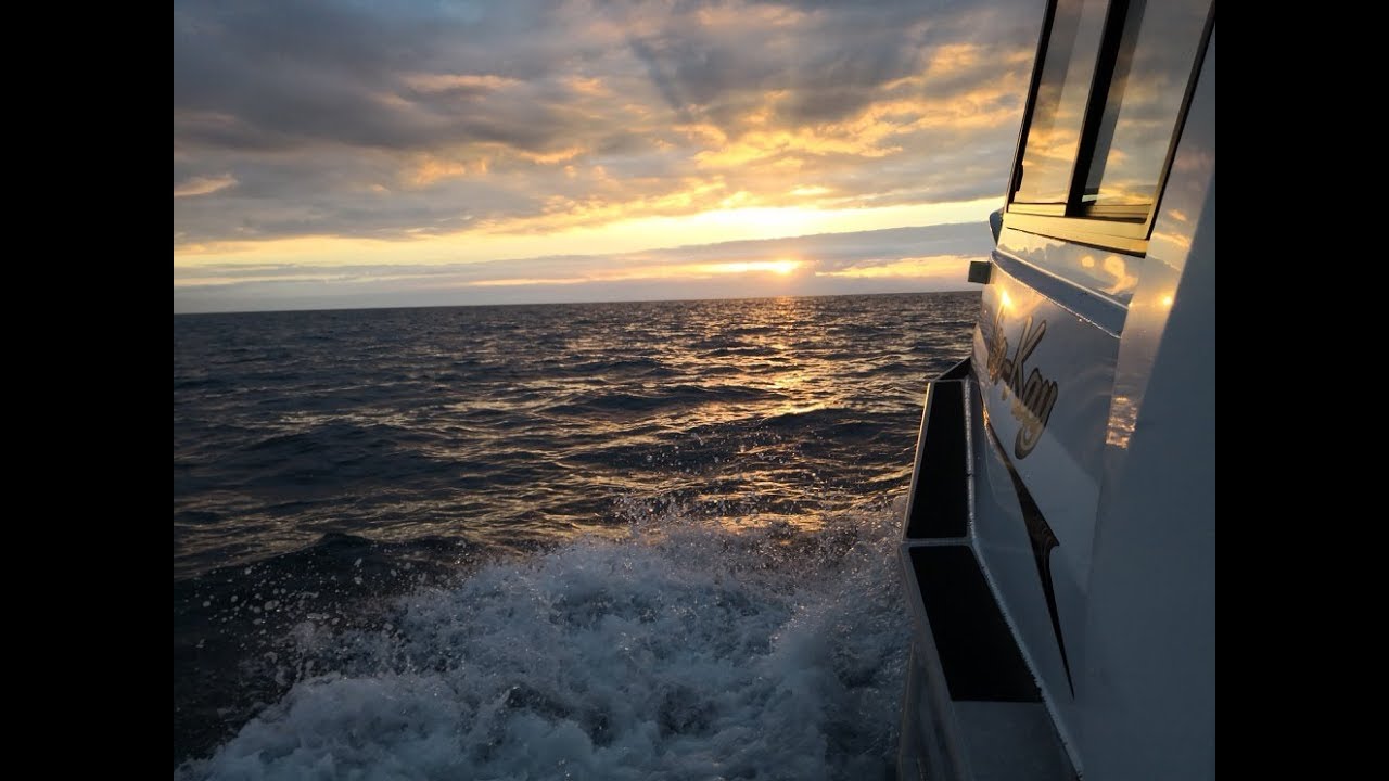 video phone beyonce mp3 New Years Day Fishing 2019
