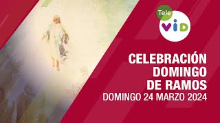 Celebración Domingo de Ramos 24 Marzo de 2024 🌿 #SemanaSanta2024 #TeleVID