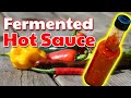 Mega Fermentation: making a large batch of hot sauce!