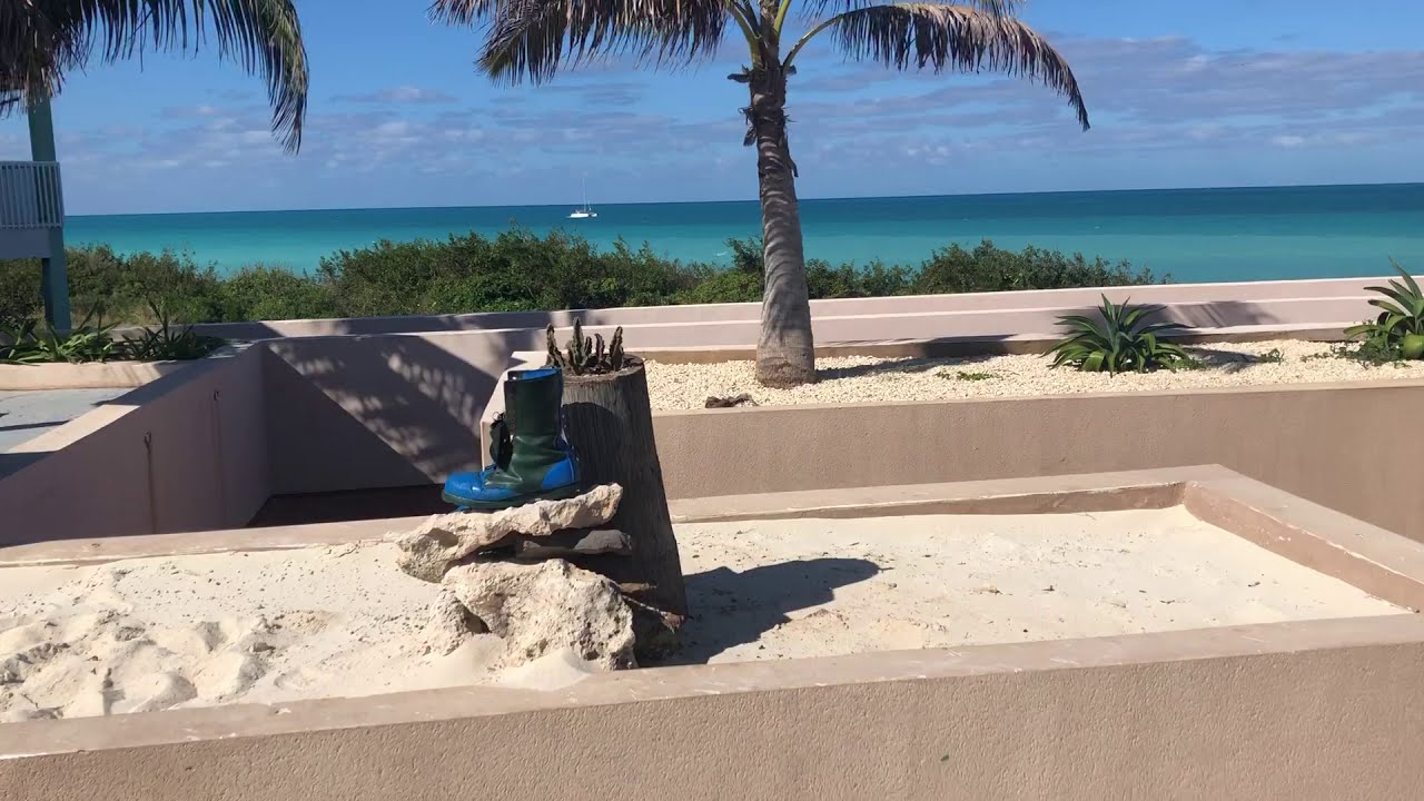 Grand Muthu Cayo Guillermo YouTube Grand Muthu Cayo Guillermo YouTube