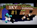 Minecraft Sky Survival - Bölüm 1