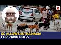 Stray Dog Case: SC Allows Euthanasia of Rabid Dogs to Prevent Threat to Human Lives | NewsX