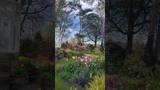 Spring Vibes🌷बसंत का अहसास/England/North Yorkshire