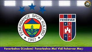 Fenerbahçe Mol Vidi Maçi - Fenerbahçe Mol Fehervar Hazırlık Maçı