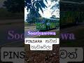 පින්සර  සූරියවැව  සිට මාතර දක්වා #drivingreview #travel #hambantota #srilanka#sooriyawewa