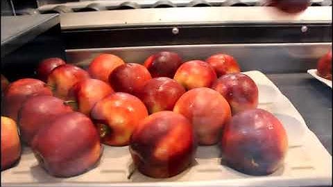 Codian Robotics Delta robot in Agricuture