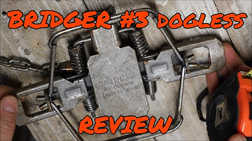 Bridger #3 dogless trap review