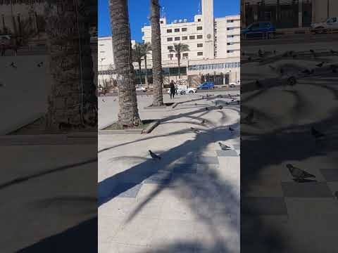 قعدت سنه وانا بجرى وراها فسح خروجات اماكن خروجات وفسح