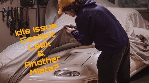 Idle Issue Resolved & Another Miata?