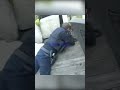 Neighbor Threatens Kids and Loses Bad #youtubeshorts #bodycam #police #confrontation #cops