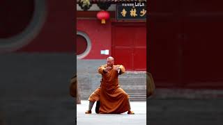 Shaolin Diamond Boxing Part.4 - 少林金刚拳 By Master Shi Hengjun