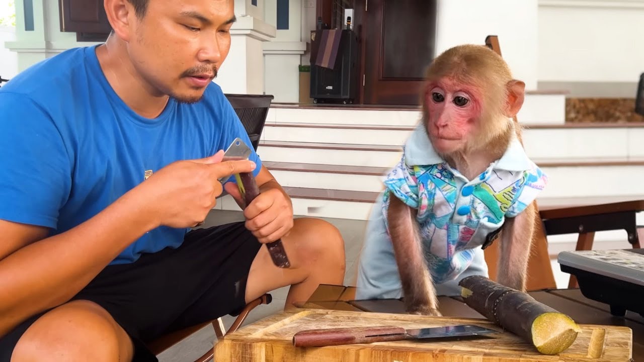So Cute! Monkey Bibi enjoys a simple but super delicious bean soup!