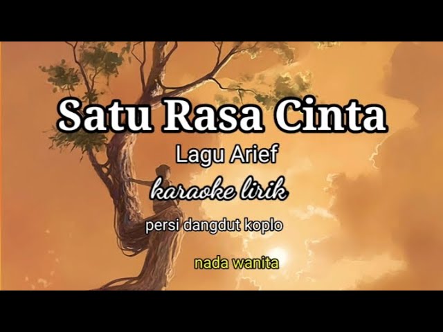 SATU RASA CINTA KARAOKE LIRIK PERSI DANGDUT KOPLO NADA WANITA //REYVANS MUSIC class=