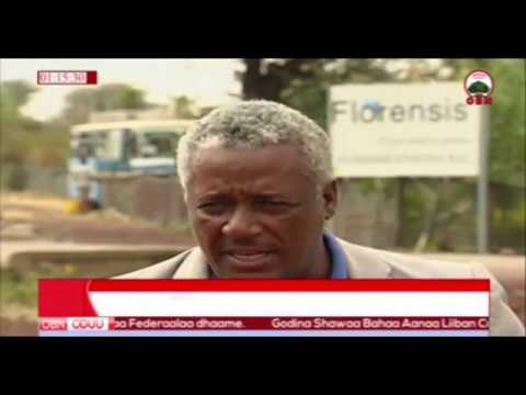 Qonnaan Bultoonni Aanaa Lumee Lafa Keenyaaf Beenyaa Dhabne Jedhan 29 01 2011