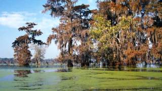 Watch Buckwheat Zydeco Skip To My Blues video