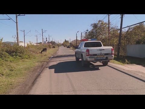 მკვლელობა სამტრედიაში | დამნაშავე ისევ თავისუფალია, გამოძიება კამერების ჩანაწერებს სწავლობს