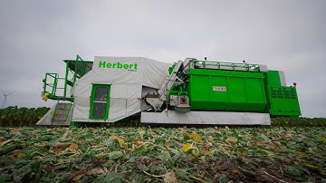 Tumoba automated Brussels sprout harvester ASH4