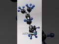 The Brain’s Secret Weapons: NAC and Taurine Subtitle: Protect, regulate, and thrive.