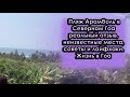 Пляж Арамболь бич в Северном Гоа в 2020-2021 году: реальный отзыв, отдых, цены в кафе, Сансет маркет