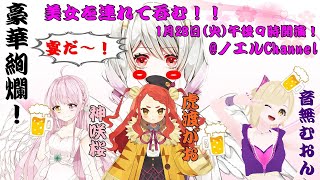[LIVE] 豪華絢爛！美女だらけの女子呑み会！！【コラボ/Vtuber】