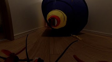 Walkers with lnsta360 one r