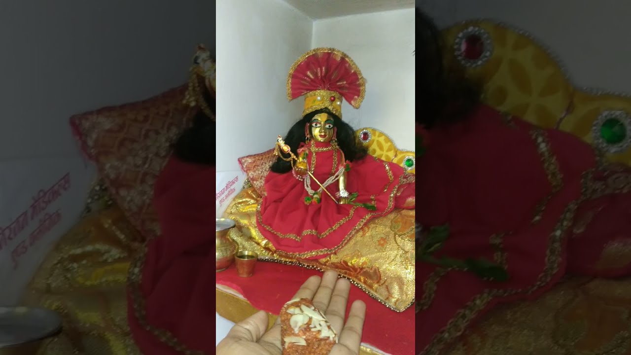 Mai radha vallabh ki  devinehasaraswat  ytshorts  laddugopal  bhajan  kanhaji  radheykrishna  shyam