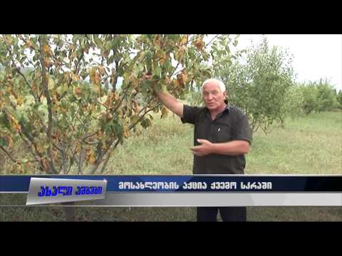 ,,მე ავუჭედავ გამგეობის კარებს\" - მოსახლეობის აქცია ქვემო სკრაში