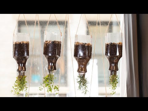 Video: Narobe obrnjena zelišča – naredite narobe viseči zeliščni vrt