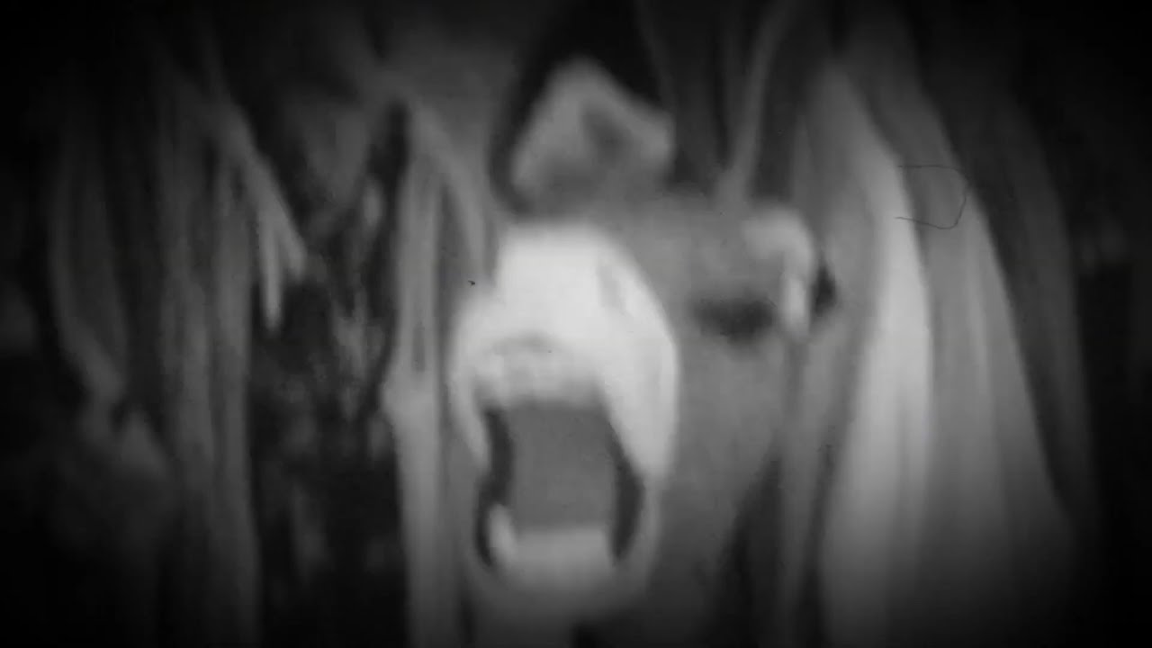 I heard something in my sister’s closet - YouTube