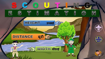 How Scouts are Better in Estimation?