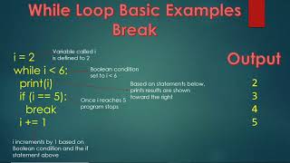 Python loop recording