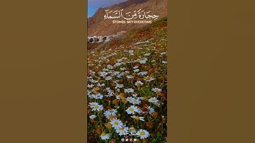 وما كان الله معذبهم وهم يستغفرون | سورة الأنفال