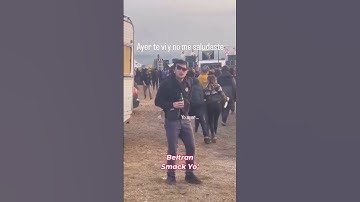 Beltran - Smack Yo