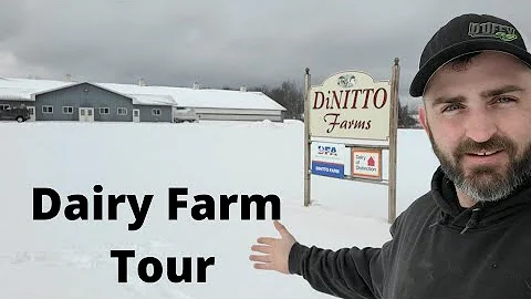 Touring Dinitto Dairy Farm- Full Farm Tour