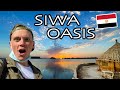 First Impressions of SIWA OASIS, EGYPT (Part 1) واحة سيوة