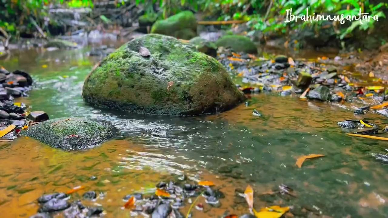 The sound of trickling water creates a peaceful atmosphere,birds chirping softly for a beautiful day